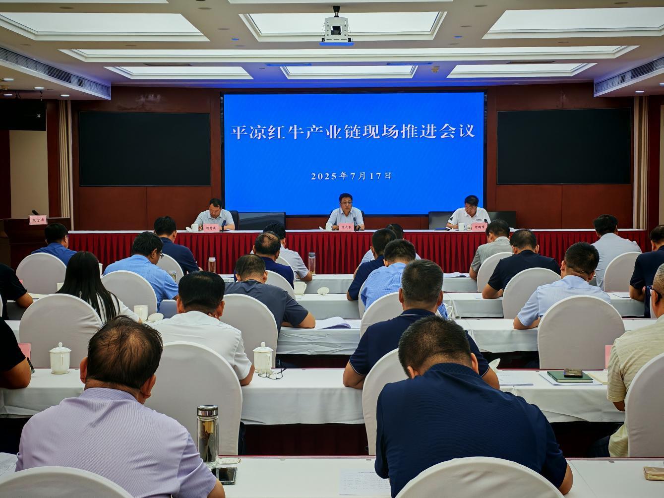 平凉红牛产业链现场推进会召开